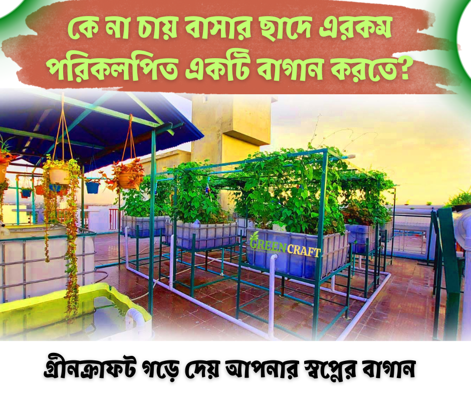Aquaponics Farming (একুয়াপনিক্স কৃষি-ফ্যামিলি প্যাকেজ ৬ )