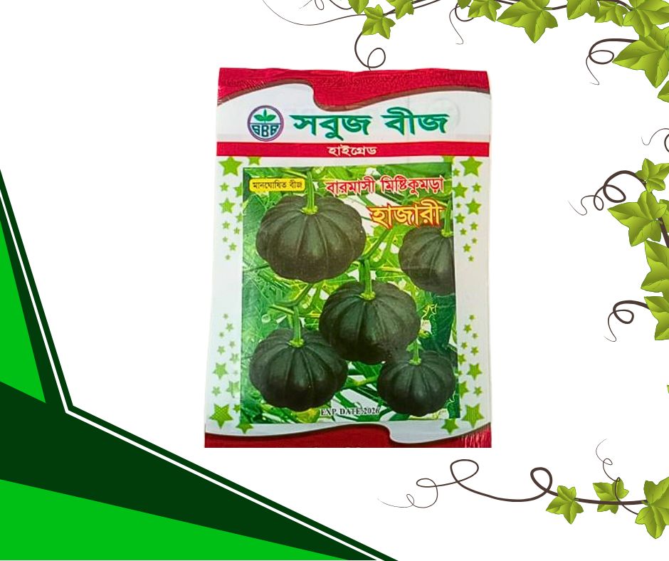 বারমাসি মিষ্টি কুমড়া (হাজারী)