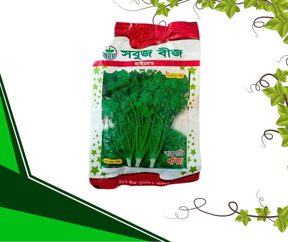 বারোমাসি ধনিয়া
