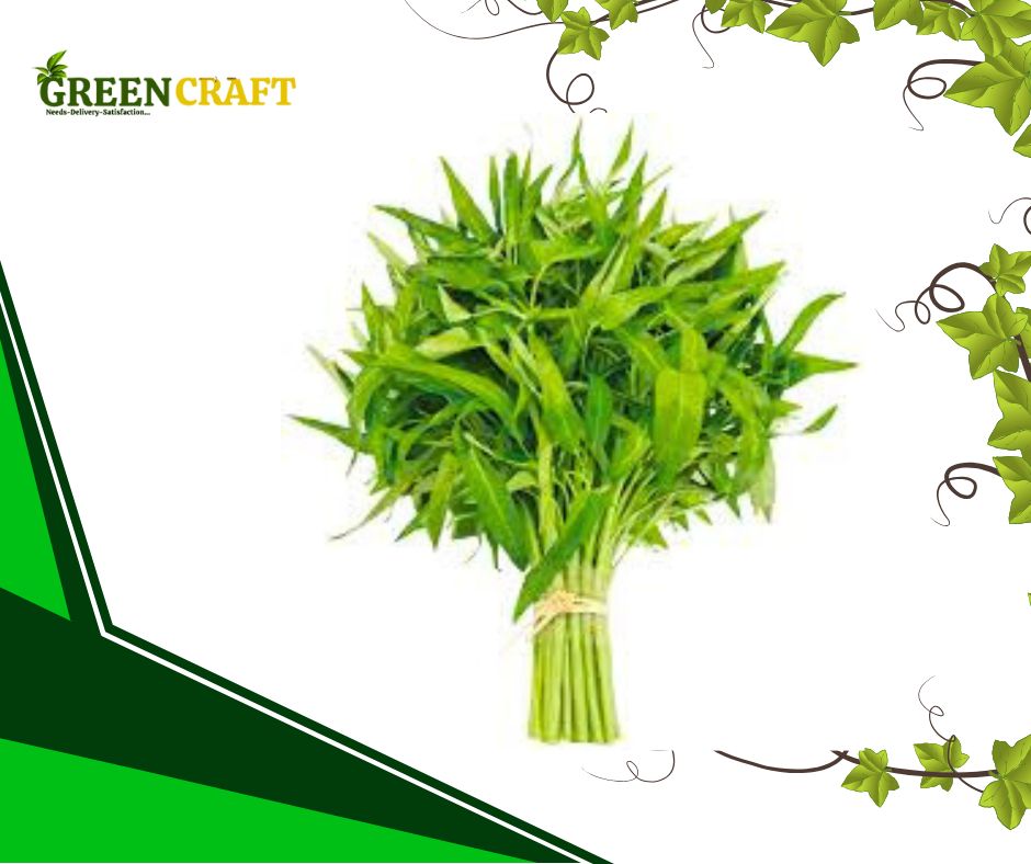 একুয়াপনিক্সে উৎপাদিত কলমি শাক (এক আটি)