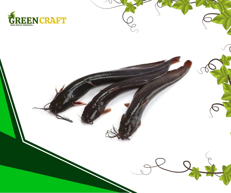 একুয়াপনিক্স পদ্ধতি উৎপাদিত শিং মাছ (১ কেজি)