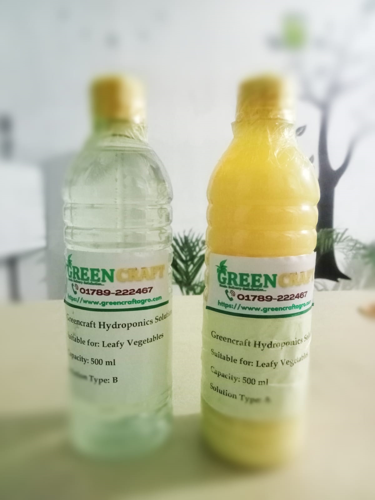 Hydroponics Solution 1 Liter For Leafy Vegetables - Image 2