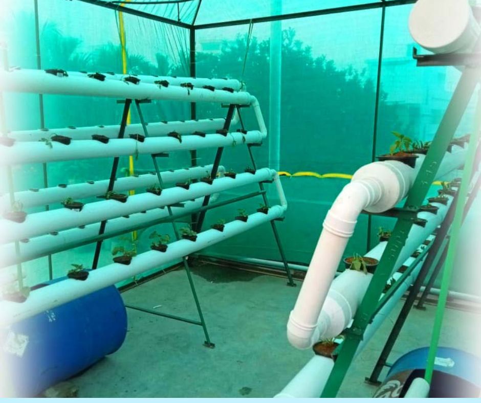 Hydroponics System 250 Cups